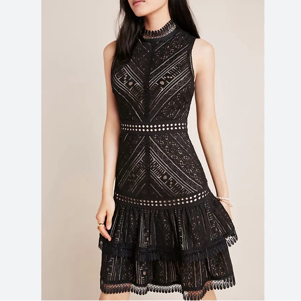 Anthropologie Hailee C Bella Lace Mini Dress